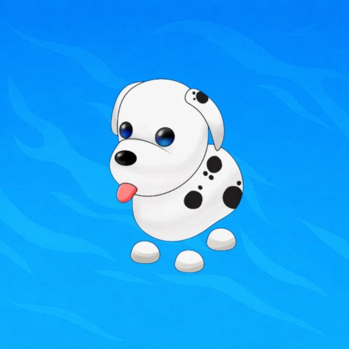 rel_product-FR Dalmatian