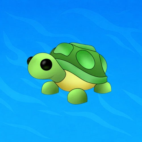 rel_product-MFR Turtle